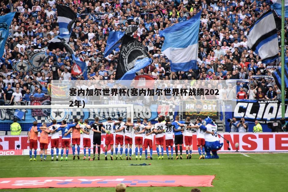 塞内加尔世界杯(塞内加尔世界杯战绩2022年)