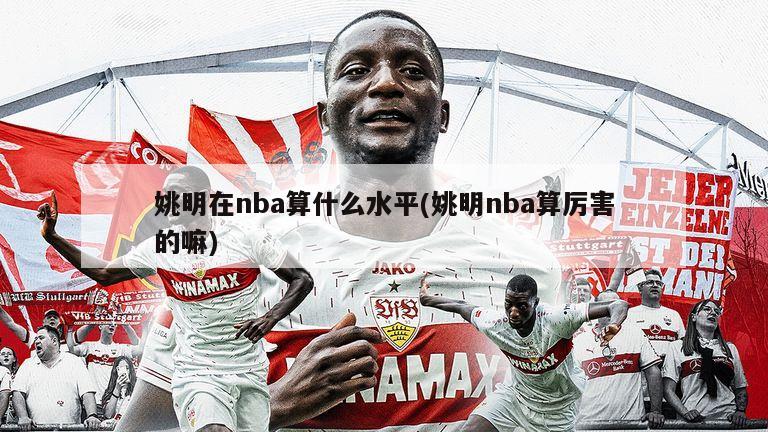 姚明在nba算什么水平(姚明nba算厉害的嘛)